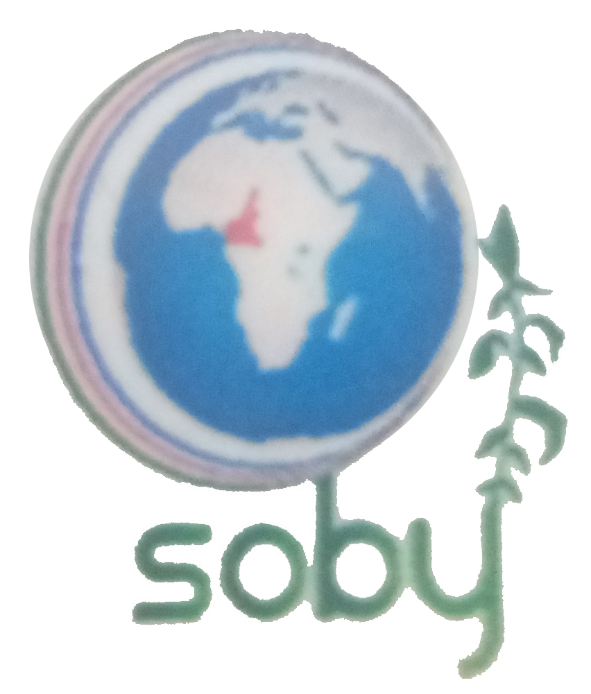 Soby Afric Invest Logo